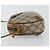 Borsa a Spalla Gucci GG Supreme Web Sherry Line PVC Beige 89 02 066 Auth 143576 D'oro - vista 5