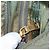 PRADA Schultertasche Nylon Khaki Gold Auth 154525 Golden - Ansicht 26