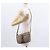 Borsa Gucci GG Supreme Web Sherry Line in PVC beige e oro 001 123 6177 Auth ka654 D'oro - vista 23