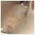 Borsa tote Gucci GG Supreme Web Sherry Line in PVC beige e rosso 39 02 003 Auth BA8628 - vista 11