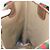 Borsa tote Gucci GG Supreme Web Sherry Line in PVC beige e rosso 39 02 003 Auth BA8628 - vista 20