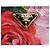 PRADA Bifold Wallet Leather Pink Auth 136570V - view 12