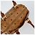 Borsa Boston MCM Logogram Vicetos in pelle PVC marrone e oro Auth gh1076 D'oro - vista 6