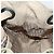 Borsa a Spalla Canage in Nylon Beige Christian Dior Auth bs30247 - vista 17