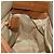 Céline Borsa a mano CELINE in nylon marrone oro Auth 143497 D'oro - vista 19