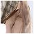 Gucci Borsa a Spalla GG Supreme in PVC Pelle Beige Oro 001 106 0185 Auth ki6140 - vista 20