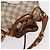 LOUIS VUITTON Borsa a Spalla Noe BB Damier Azur N41220 LV Auth 156346 - vista 6