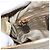 Bolsa de Ombro PRADA Nylon Verde Ouro Auth 155214 Dourado - vista 24