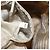 PRADA Backpack Nylon Beige Silver Auth 155293 Silvery - view 12