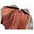 LOUIS VUITTON Clutch Compiegne 28 M51845 LV Auth 154780 Monogramma - vista 20