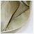 Borsa Tote PRADA Nylon Verde Argento Auth 153132 - vista 24