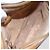 Gucci Borsa a Spalla Micro GG Supreme PVC Beige Oro 007 23 0017 Auth BA6745 D'oro - vista 11