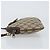 Borsa a Spalla Gucci GG Supreme Web Sherry Line PVC Beige 904 02 047 Auth 155227 D'oro - vista 5
