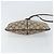 Borsa a Spalla Gucci GG Supreme Web Sherry Line PVC Beige 904 02 047 Auth 155227 D'oro - vista 9