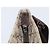 Borsa a spalla GG Supreme in PVC beige e argento di GUCCI 141626 Auth ep12076 - vista 10