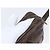 LOUIS VUITTON Clutch Marly Dragonne GM Monogram M51825 LV Auth BA8303 Monogramma - vista 7