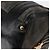 Borsa a mano Histeria GUCCI in suede nero e oro 186235 Auth 153859 D'oro - vista 11