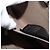 Autre Marque Stella McCartney Schultertasche aus Polyester Beige Auth BA6902 - Ansicht 18