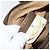 Borsa Sherry Line GG Supreme Web di GUCCI in PVC beige e oro 89 02 032 Auth BA8907 D'oro - vista 23