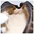 Borsa a mano in tela Zucca FENDI Nera Marrone Auth 154968 Nero - vista 12