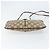 Bolsa Sherry Line GG Supreme Web da GUCCI em PVC bege e dourado 904 02 047 Auth 155650 - vista 5