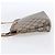 Borsa a Spalla GUCCI GG Plus Supreme in Pelle PVC Beige Oro Auth 150999 D'oro - vista 4
