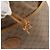 Gucci Borsa a Spalla Micro GG Supreme PVC Beige Oro 001 904 0791 Auth BA6122 D'oro - vista 10