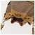 Gucci Borsa a Spalla Micro GG Supreme PVC Beige Oro 001 904 0791 Auth BA6122 D'oro - vista 6