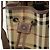 Autre Marque Borsa a Spalla Burberrys Nova Check PVC Beige Oro Auth bs29124 D'oro - vista 10