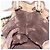 Autre Marque Borsa a Spalla Burberrys Nova Check PVC Beige Oro Auth bs29124 D'oro - vista 19