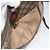 Borsa a Spalla Gucci GG Supreme Web Sherry Line Beige Oro 89 02 032 Auth bs29622 D'oro - vista 23
