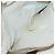 CHANEL Nuova Borsa Tote da Viaggio Nylon Beige Oro CC Auth ti3423 D'oro - vista 21