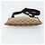 Borsa a Spalla GG Canvas Gucci Beige 27639 Auth 151876 - vista 5