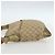 Gucci GG Canvas Sherry Line Schultertasche Beige Gold 145857 Auth 151543 Golden - Ansicht 4