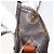 LOUIS VUITTON Bolsa de Ombro Monogram Saint Cloud MM M51243 LV Auth BA8278 Monograma - vista 20