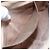 Borsa Sherry Line GG Supreme Web di GUCCI in PVC beige e oro 904 02 047 Auth BA7792 D'oro - vista 21