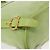Zaino Salvatore Ferragamo in suede verde oro Auth BA7987 D'oro - vista 18