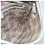 Borsa a Spalla Gucci GG Canvas Sherry Line Beige Oro 144388 Auth 148841 D'oro - vista 20