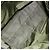 Borsa a Spalla in Tela Trotter Christian Dior Verde Argento Auth SW1847 - vista 16