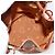Borsa a Spalla MCM Logogram Vicetos in Pelle PVC Marrone Oro Auth BA8641 D'oro - vista 16