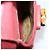 Mochila de Camurça Gucci Bamboo Vermelha Dourada 003 2058 0016 Auth th6525 Vermelho Dourado - vista 26