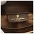 Borsa Sherry Line GG Supreme Web di GUCCI in PVC beige e oro 10 02 037 Auth 157006 D'oro - vista 15