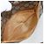 Borsa Sherry Line GG Supreme Web di GUCCI in PVC beige e oro 116 02 055 Auth BA8616 D'oro - vista 20
