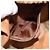 Céline Borsa a spalla in tela Macadam CELINE in pelle PVC marrone oro Auth 152579 D'oro - vista 23