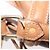 Céline Borsa a spalla in tela Macadam CELINE in pelle PVC marrone oro Auth 152579 D'oro - vista 9