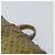Louis Vuitton Porte-papier en métal doré LV Auth 156369M - vue 8