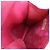 Timeless Chanel Coco Mark Caviar Leather Multi Case Pink Fuschia - view 4