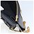 Céline CELINE Chain Shoulder Wallet Bag Leather Multicolor Gold Auth BA8968 Multiple colors Golden - view 24