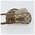 Borsa Sherry Line GG Supreme Web di GUCCI in PVC beige e oro 56 02 088 Auth ep12386 D'oro - vista 4