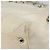 Borsa a spalla CHANEL in tela bianca con cucitura a V e CC argento Auth gh1368 Bianco - vista 15